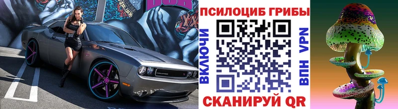 продажа наркотиков  Поворино  Псилоцибиновые грибы ЛСД 